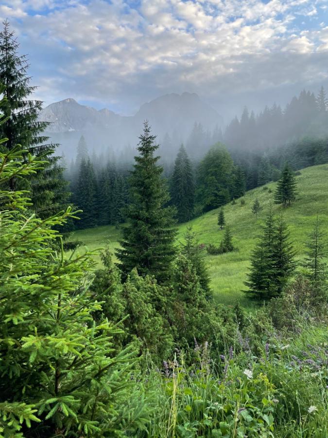 Magic Mountain Villa Zabljak  Bagian luar foto