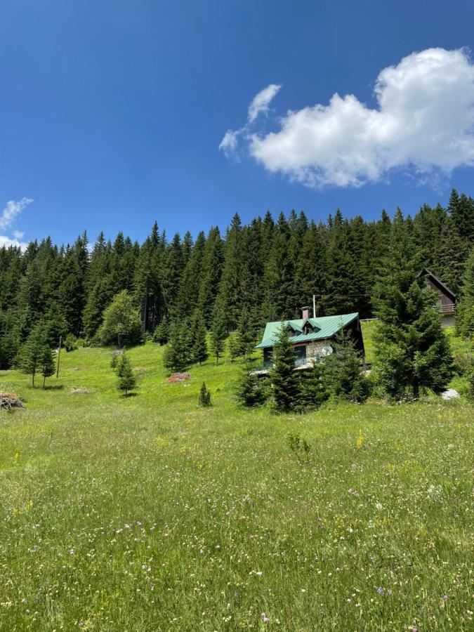 Magic Mountain Villa Zabljak  Bagian luar foto