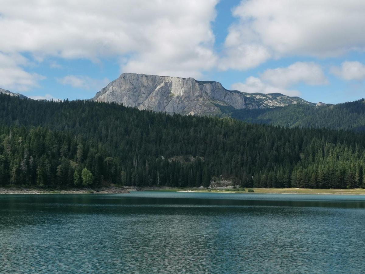 Magic Mountain Villa Zabljak  Bagian luar foto