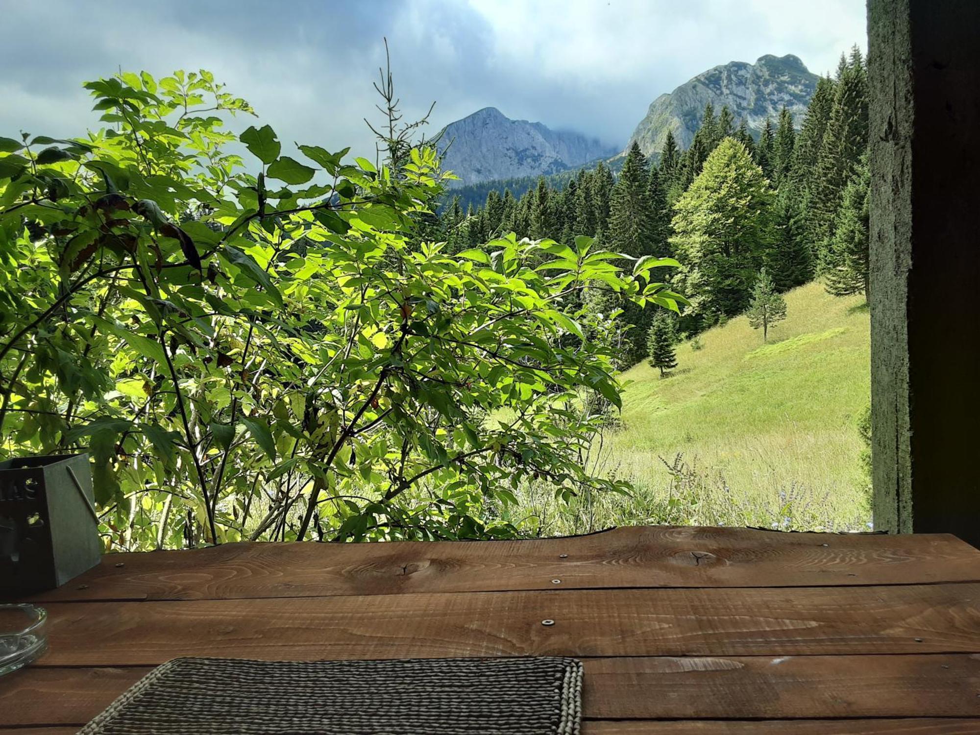 Magic Mountain Villa Zabljak  Bagian luar foto