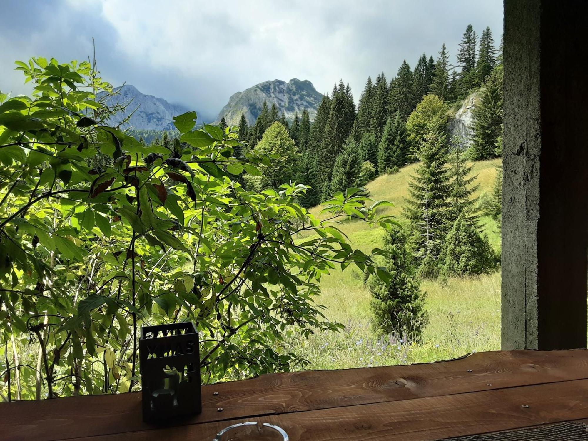 Magic Mountain Villa Zabljak  Bagian luar foto