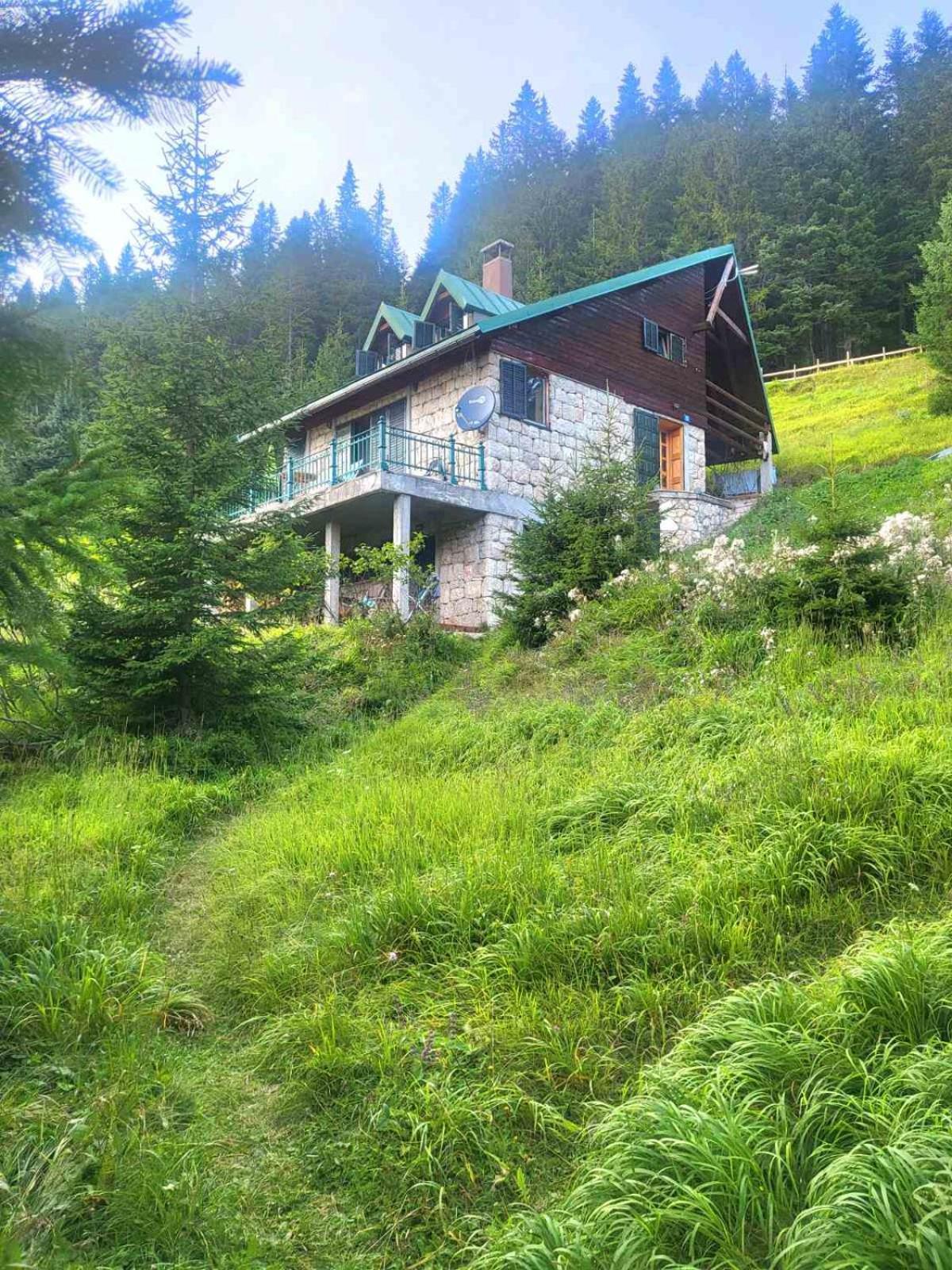 Magic Mountain Villa Zabljak  Bagian luar foto